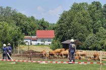 Občinsko gasilsko tekmovanje GZ Križevci