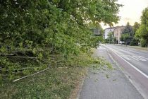 Padec veje na blokovsko dvorišče