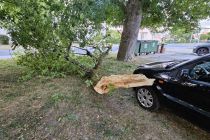 Padec veje na blokovsko dvorišče