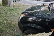 Padec veje na blokovsko dvorišče