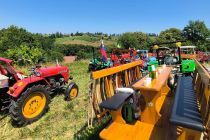Panoramska vožnja s starodobniki