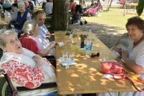 Piknik DSO Ljutomer