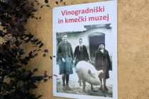 Vinobus 2025