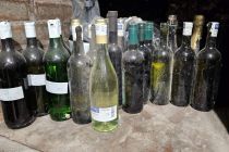 Vinobus 2025