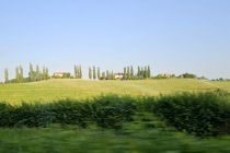 Vinobus 2025
