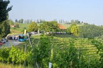 Vinobus 2025