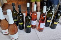 Vinobus 2025