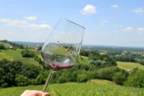 Vinobus 2025
