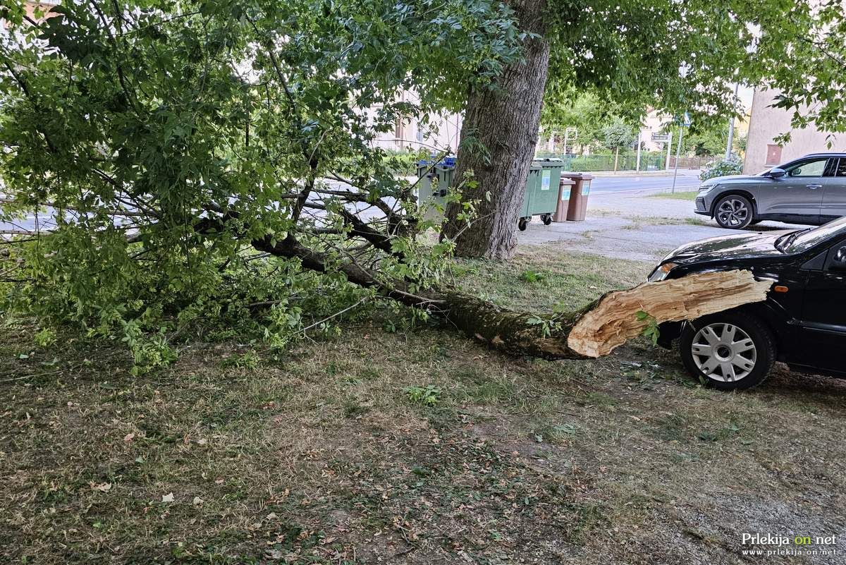 Padec veje na blokovsko dvorišče