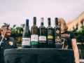 Javna degustacija vin na Grossmannovem festivalu