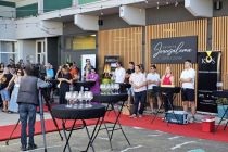 21. Grossmannov festival