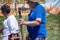 Žetev 2000 zlatih zrn