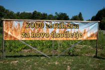 Žetev 2000 zlatih zrn