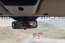 Ekipa Wine angels na Trans Carpathia Rally