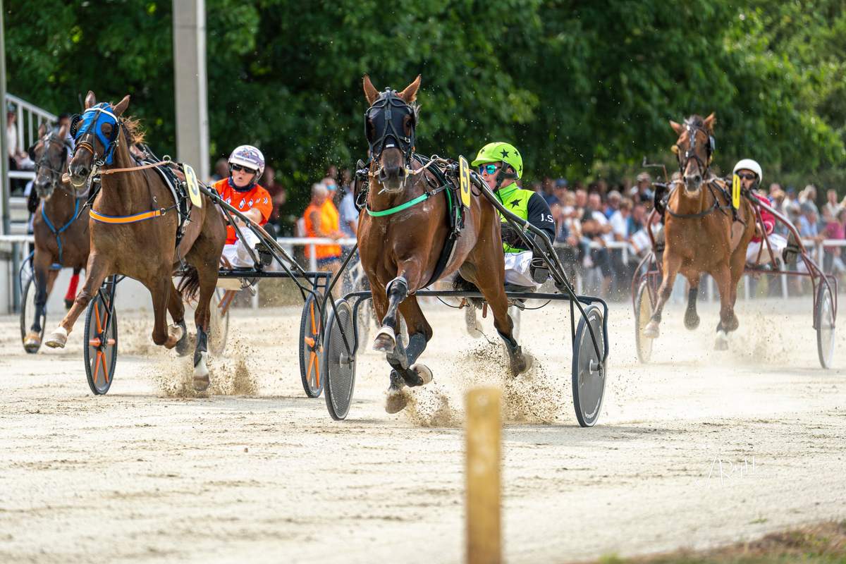 Kasaške dirke v Ljutomeru Kasaške dirke v Ljutomeru