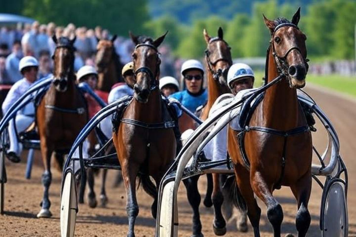 Športni utrip Ljutomera: kasaške dirke in lokalni junaki
