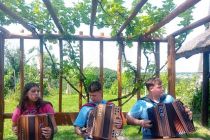 Harmonikarski orkester Kontrasti