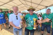 Oranje s starodobnimi traktorji na Krčevini