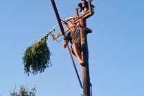 Postavljanje klopotca Društva vinogradnikov Mala Nedelja