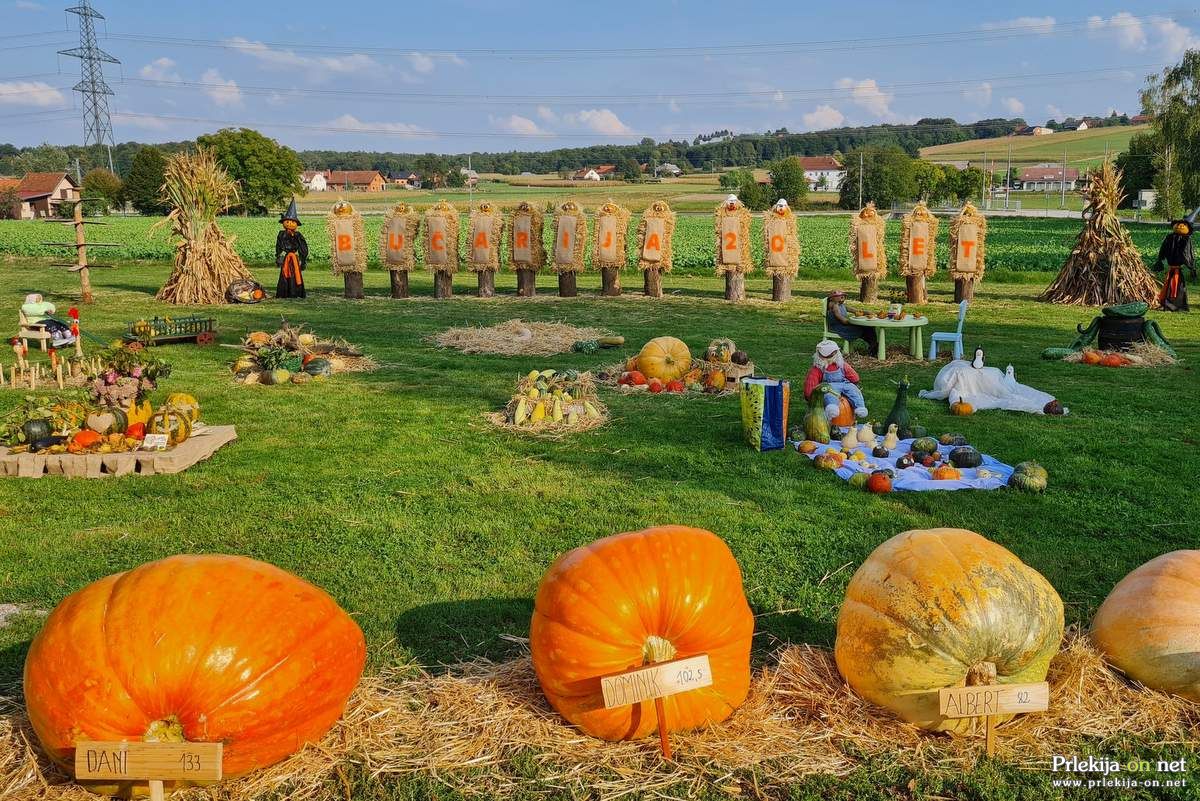 Bučarija 2025