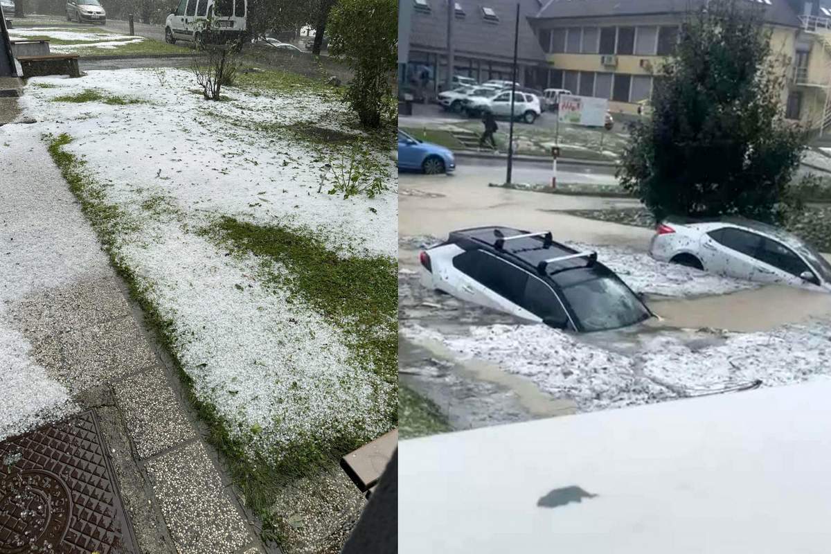 Neurje v Novem mestu