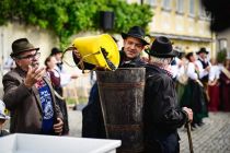 39. trgatev Najstarejše trte