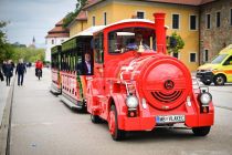 39. trgatev Najstarejše trte