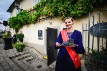 39. trgatev Najstarejše trte