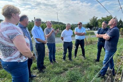 Terenski ogled škode v vinogradih, foto: Ministrstvo za kmetijstvo, gozdarstvo in prehrano