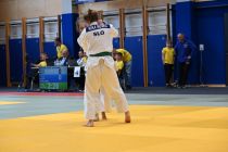 Mednarodni judo turnir v Dupleku