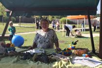 Projekt Harmonija generacij