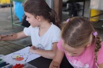 Projekt Harmonija generacij