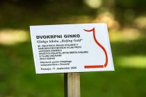 Spomin na 80. obletnico zmage Kitajske v narodnoosvobodilni vojni