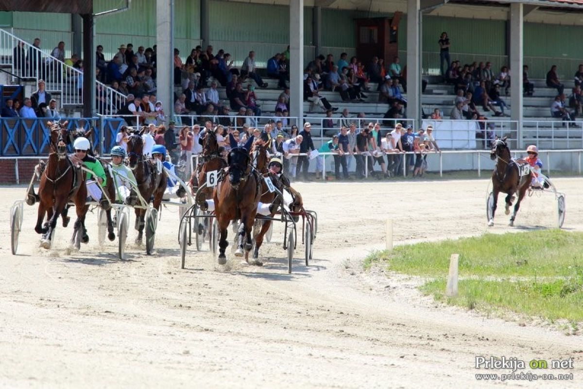 Kasaške dirke v Ljutomeru