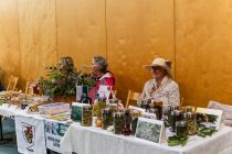 Festival zdravja v Ljutomeru