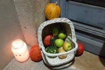 Jesenska počitniška delavnica