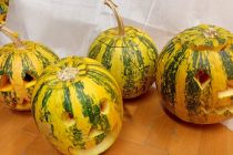 Jesenska počitniška delavnica