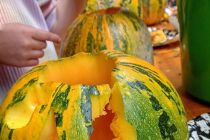 Jesenska počitniška delavnica