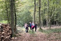 Orientacijski pohod z vojsko OŠ Križevci