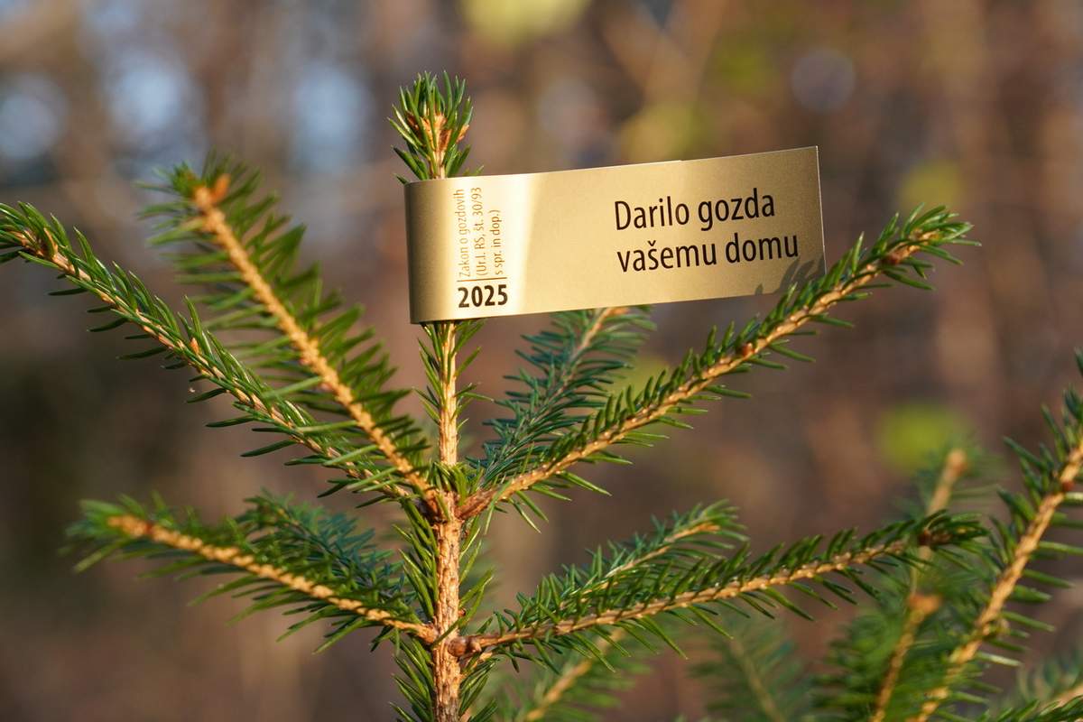 Zlata nalepka »Darilo gozda vašemu domu«