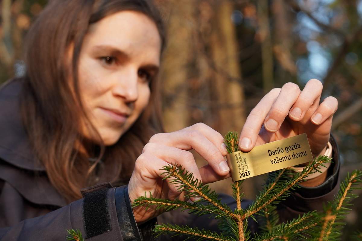 Zlata nalepka »Darilo gozda vašemu domu«, foto: ZGS
