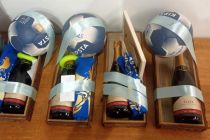 25 let ŽRK Millennium