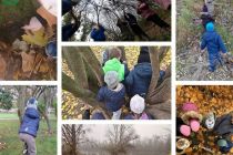 Dejavnosti na prostem v Vrtcu Gornja Radgona