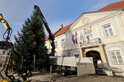 Postavljanje smreke v Ljutomeru