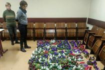 Izdelava adventih vencev