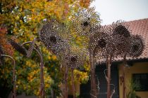 Jurakovo »Sončnično polje« v Vučji vasi