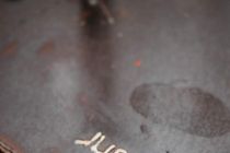 Jurakovo »Sončnično polje« v Vučji vasi