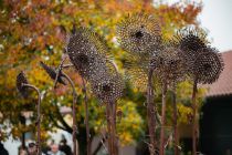 Jurakovo »Sončnično polje« v Vučji vasi