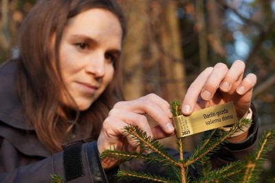 Zlata nalepka »Darilo gozda vašemu domu«, foto: ZGS