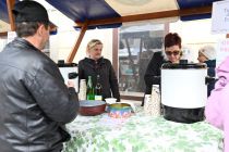 Martinov sejem v Ormožu